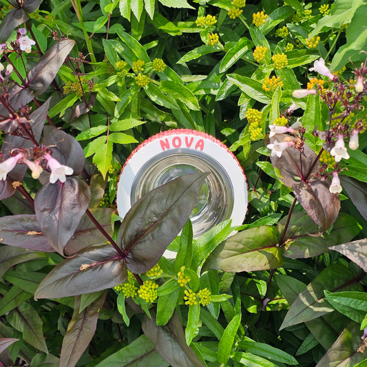 Premium "Pine" Coral Pink Custom Pet Bowl